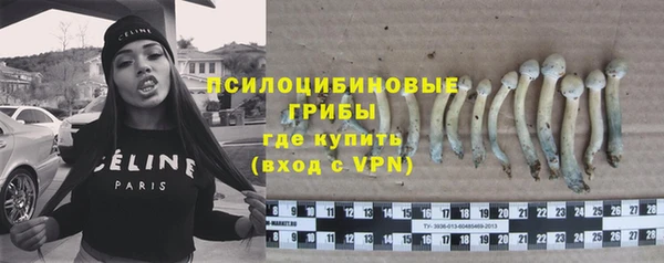тгк Алексеевка
